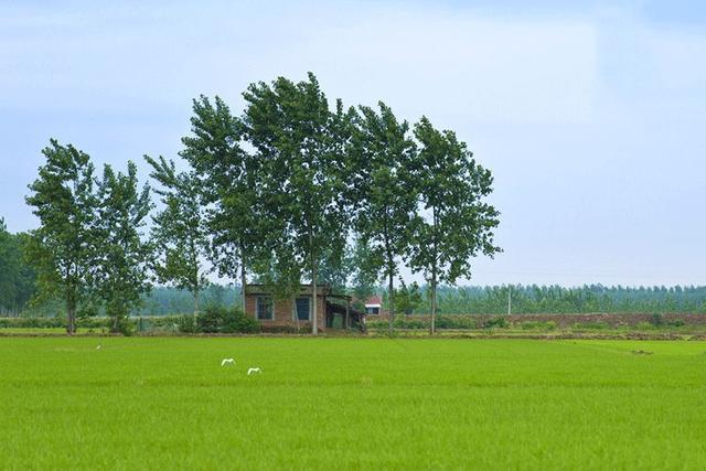 　優(yōu)雅的歐式三層自建別墅，優(yōu)雅的風(fēng)格，時(shí)尚的設(shè)計(jì)，一排排落地玻璃窗給整個(gè)別墅增添了神秘。