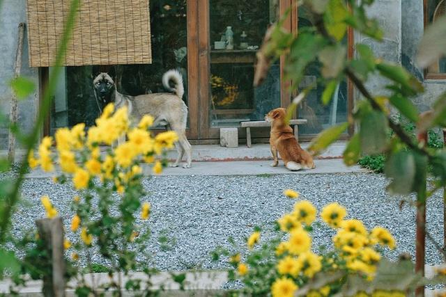 這是一個(gè)自由的私人島嶼，給居民一種舒適、溫暖和愛(ài)的感覺(jué)。在漫長(zhǎng)的歲月里，家是一個(gè)永恒、純潔而強(qiáng)大的存在。